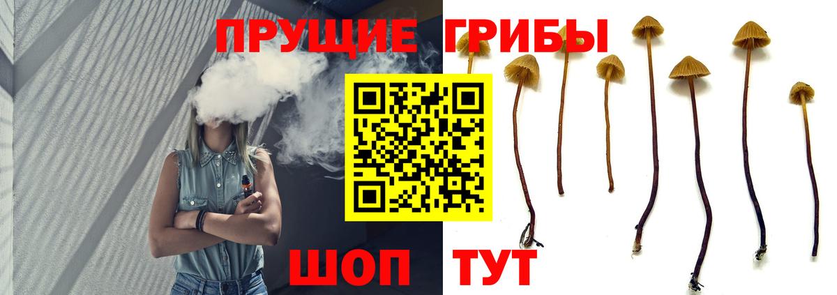 Псилоцибиновые грибы Magic Shrooms  Вход с VPN  Киселёвск 